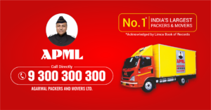 Best Packers and Movers in Delhi